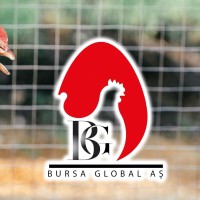 Bursa Global A.Ş logo - Similar company to سفنث ستار إنتربرايزس ذ م م Seventh Star Enterprises Llc