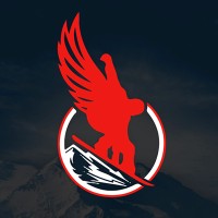 Birds Eye View Project logo - Similar company to Roma Foundation