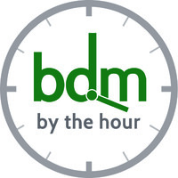 BDM by the hour logo - Similar company to Hunter & Scribe