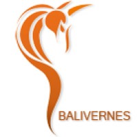 Balivernes éditions logo - Similar company to Hynerd.It