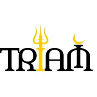 Triam Group logo - Similar company to Alwataniya For Accounting & Tax Services Company