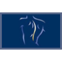 Premier Health Chiropractic & Wellness