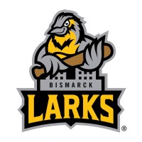 Bismarck Larks Baseball Club logo - Similar company to Ndpio Association
