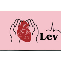 LEV DIAGNOSTICS LLC logo - Similar company to Team Dadhwal Realty