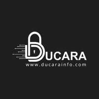 Ducara Info Solutions (P) Limited logo - Similar company to Profitease