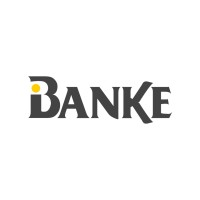 Banke International Properties logo - Similar company to V