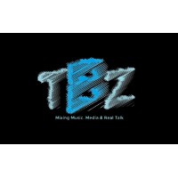 The Blend Zone logo - Similar company to Only Records