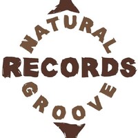 Natural Groove Records logo - Similar company to Hall & Ca