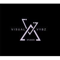Visual Vybz Studios logo - Similar company to Spa Smart Web Sites, Seo & Marketing