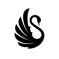 Black Swan Business Setup Services logo - Similar company to All Time Business Setup Services Dubai Uae