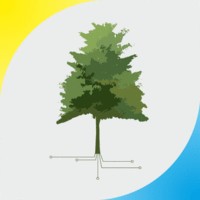 SmartTesla logo - Similar company to Webone Design