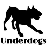 Underdogs Company logo - Similar company to Nodetech.Co