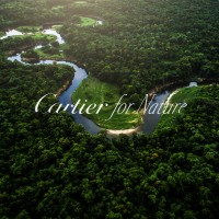 Cartier for Nature logo - Similar company to Resource Fields Solution International