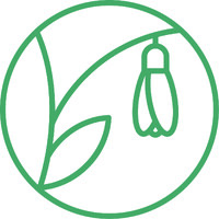 Snowdrops Consulting Limited logo - Similar company to Evolve Your Digital