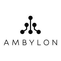 AMBYLON logo - Similar company to Code Raccoons