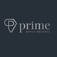Prime Africa Holdings (Pty) Ltd logo - Similar company to Prime Holdings