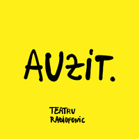 AUZIT. logo - Similar company to Retail Data Factory