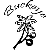 Buckeye Inc logo - Similar company to Stellar Drilling Fluids, Llc