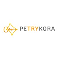 Petrykora logo - Similar company to Solvehack