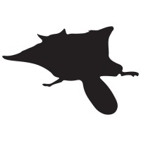Flying Squirrel Experiences, LLC