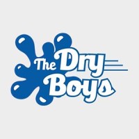 The Dry Boys of Albany logo - Similar company to Dryer Vent Squad