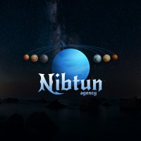 Nibtun Agency logo - Similar company to Ssd-Co