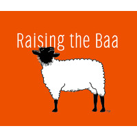 Raising the Baa logo - Similar company to Sistaland