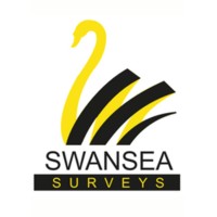 Swansea Surveys UK logo - Similar company to D2B Interiors Llc