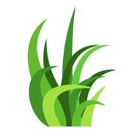 What is your tomorrow logo - Similar company to Justlearn