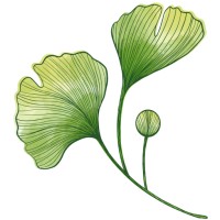 Ginkgo Çevre Derneği logo - Similar company to Bergibo ® Industry Hr Export