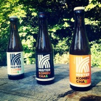 Mister Kombucha logo - Similar company to Forrestbrew Kombucha