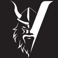 Viking GT Sp. z o.o. logo - Similar company to Convoy Cargo Sp. Z O.O.