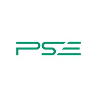 PSE Srl logo - Similar company to Testi Do Brasil