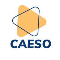 Instituto Caeso logo - Similar company to The Aj School®
