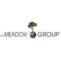 The Meadow Group South Africa logo - Similar company to Dha Financial Services