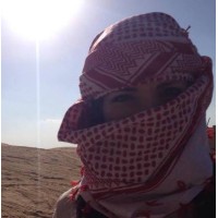 Danni in the Desert logo - Similar company to Unveil Arabia