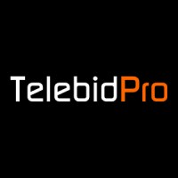 TelebidPro logo - Similar company to Vip Security