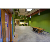 Zoomtopia: Art & Dance Studios