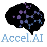 Accel.AI logo - Similar company to Lcc Opentech