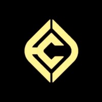 Critical Curves Consult Limited logo - Similar company to Boldstep Initiative