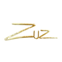 Zuz logo - Similar company to Innovative Facilities Solutions