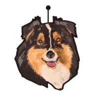 Perro Robot