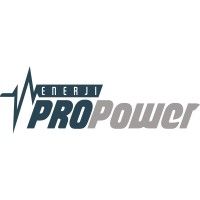 Pro Power Enerji logo - Similar company to Haker Enerji
