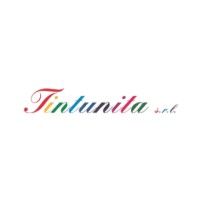 Tintunita S.R.L. logo - Similar company to Galtex