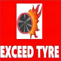 QINGDAO EXCEED TYRE CO.,LTD logo - Similar company to Tionale Enterprises Pte Ltd