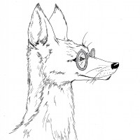 Kit Fox Consult