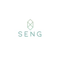 Obras SENG logo - Similar company to S.O.S. Constructora