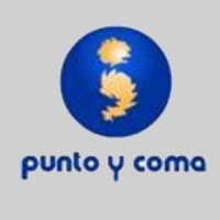 Punto y Coma Traductores e Intérpretes logo - Similar company to Visitusa-Spain