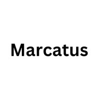 Marcatus logo - Similar company to Bit Technologies