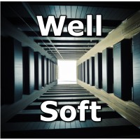 Wellsoft logo - Similar company to Ermlab Software